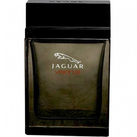 جگوار ویژن 3