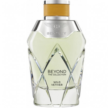 بنتلی وایلد وتیور